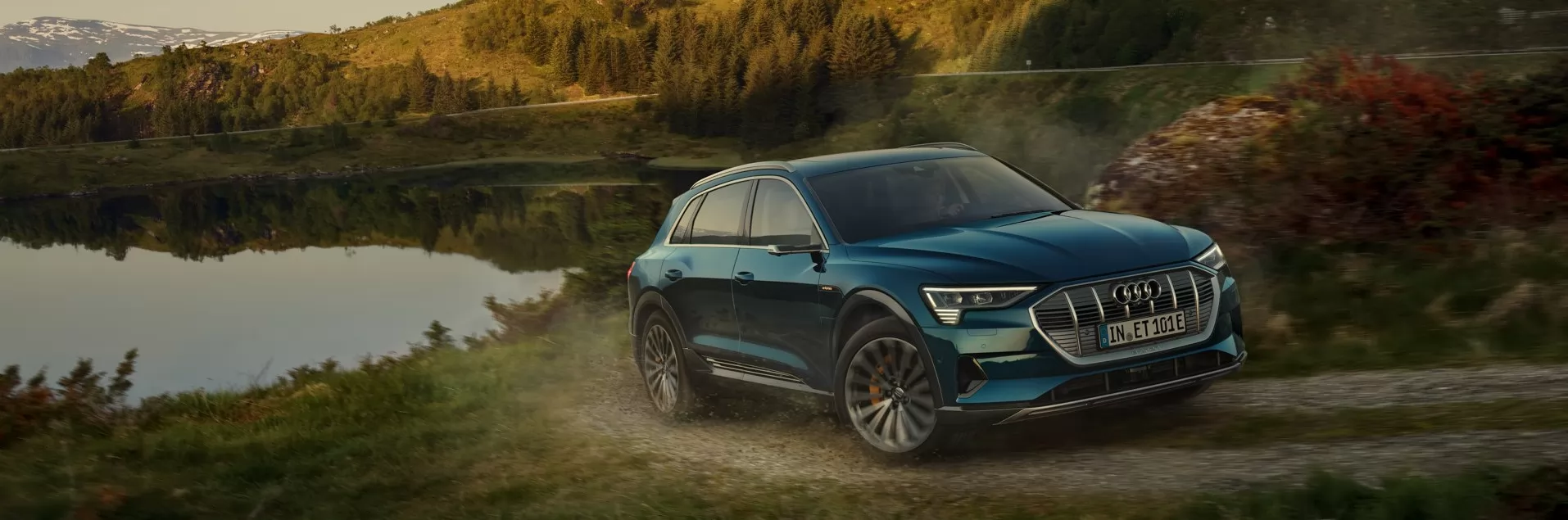 Audi etron