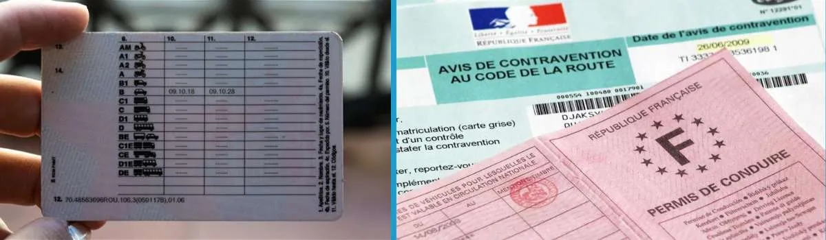 imagenes de licencias de conducir españolas y francesas